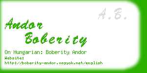 andor boberity business card